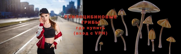 а пвп мука Аркадак