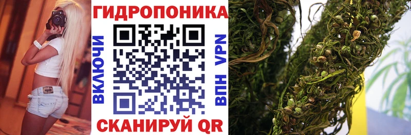 Шишки марихуана марихуана  Краснознаменск 